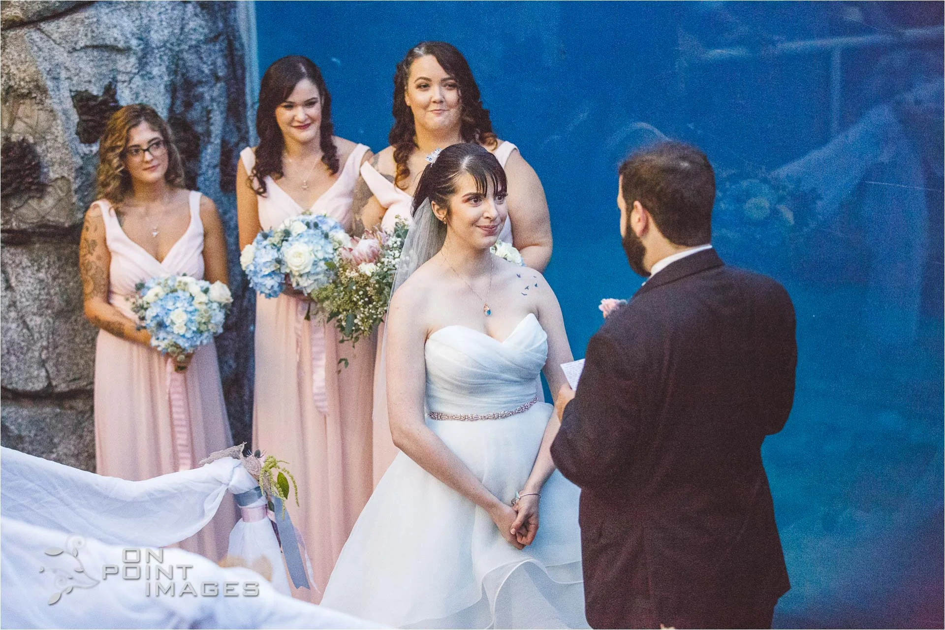 mystic-aquarium-wedding-photographs-25.jpg