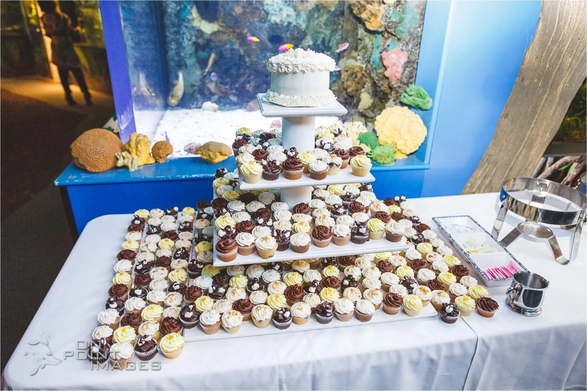 mystic-aquarium-wedding-photographs-30.jpg