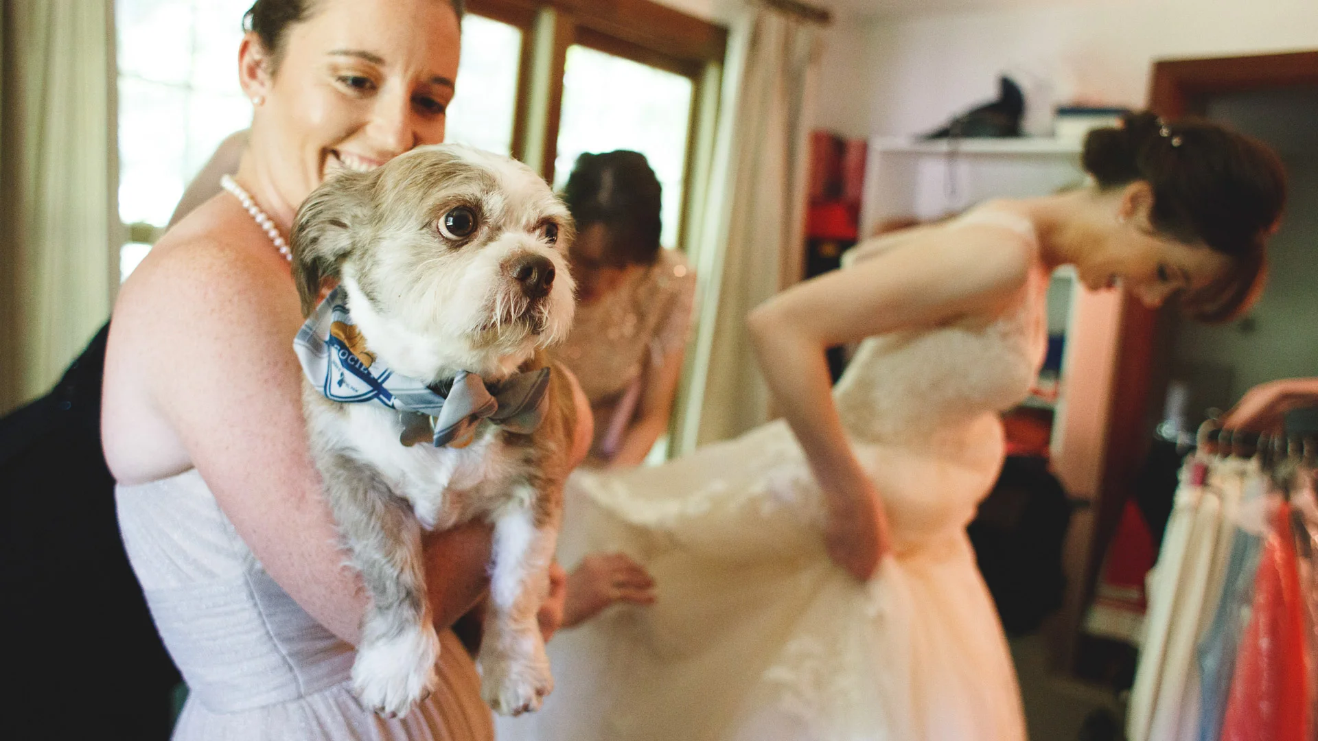 Wickham-Park-Wedding-Photographs-2.jpg