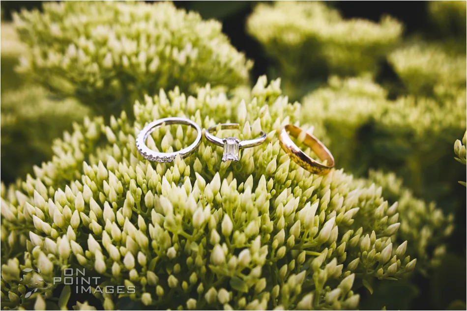 connecticut-wickham-park-wedding-photographer-42.jpg