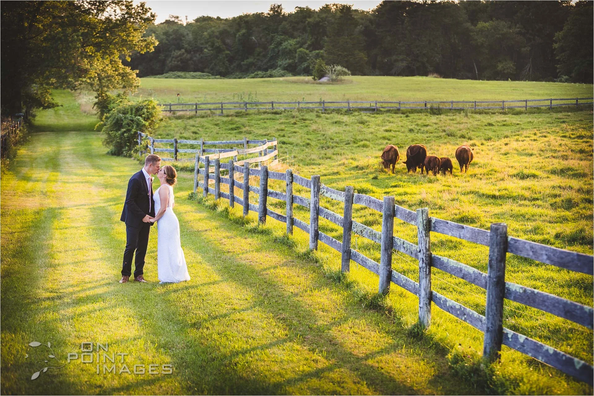 South County Flowers Wedding Photography Charlestown RI-18.jpg