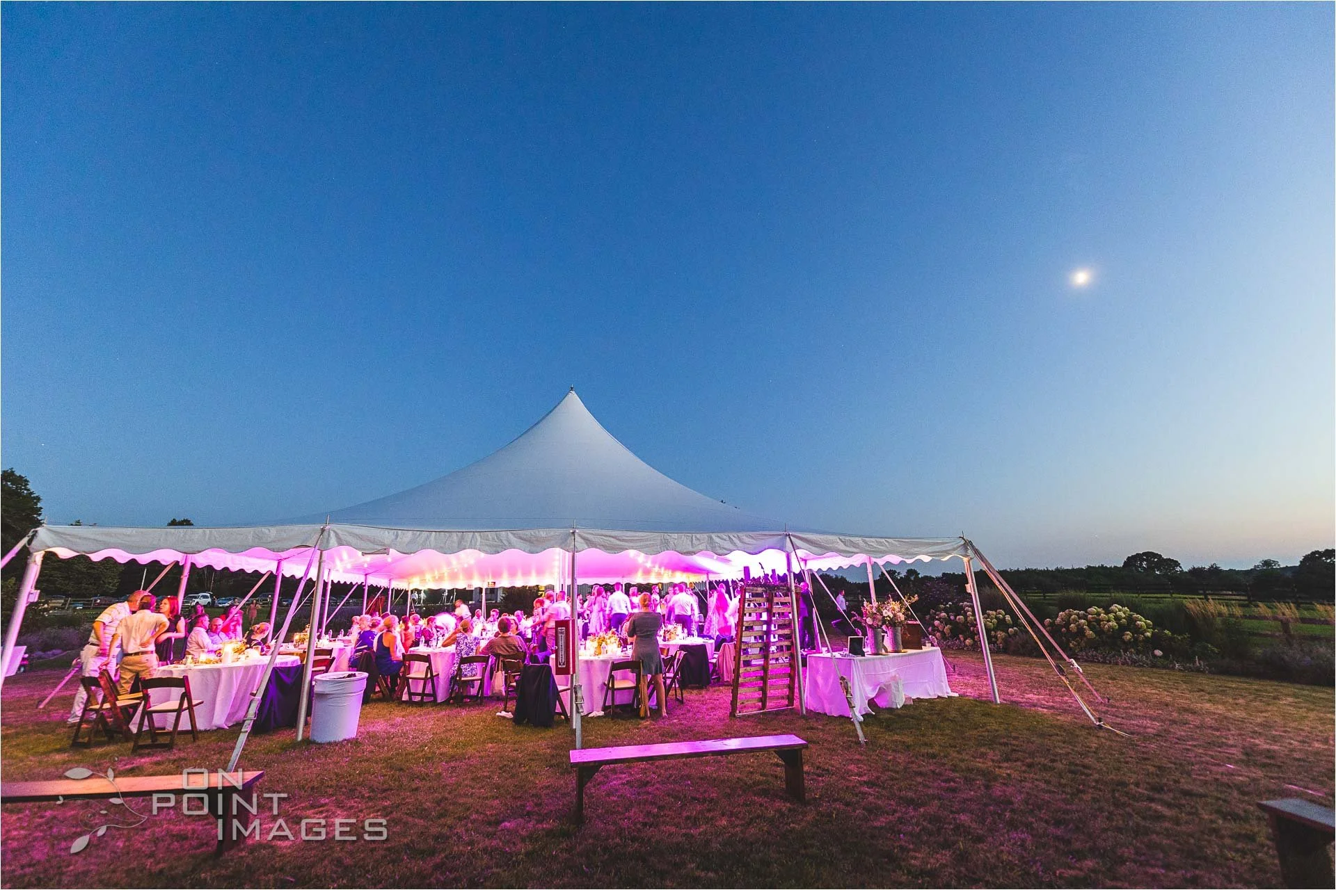 South County Flowers Wedding Photography Charlestown RI-32.jpg
